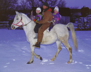 Jade, Robin
              and Clay enjoying the snow on Sheeza Doll (1995)